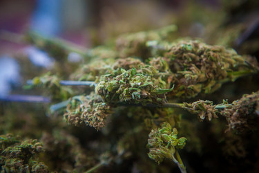 Similar image 8183505