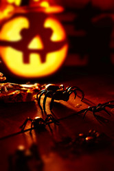 Similar image 8183722