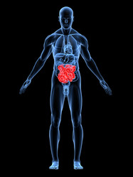 Similar image 8183961