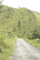 Similar image 8183978