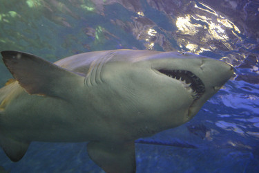 Similar image 8183984