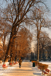 Similar image 8183985