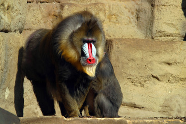 Similar image 8184013