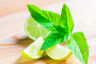 Similar image 8184019