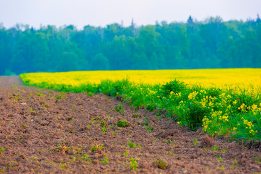 Similar image 8184020