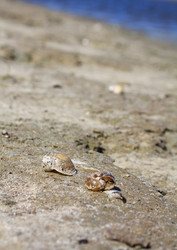 Similar image 8184035