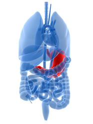 Similar image 8184059