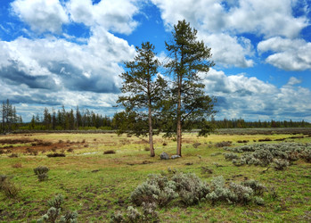 Similar image 8184060