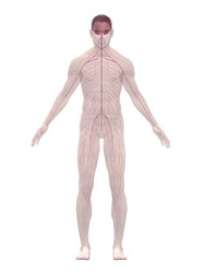 Similar image 8184092