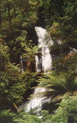 Similar image 8184094