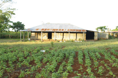 Similar image 8184119