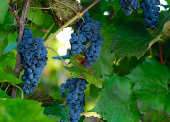 Similar image 8184150