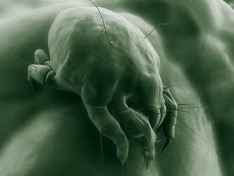 Similar image 8184151