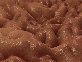 Similar image 8184163