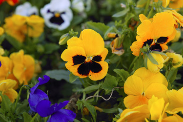 Similar image 8184208