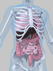 Similar image 8184219