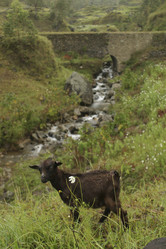 Similar image 8184303