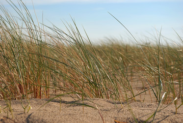 Similar image 8184306