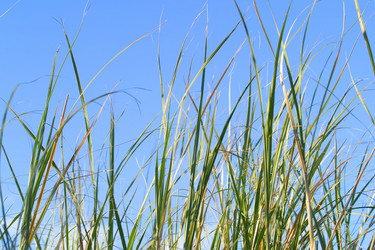 Similar image 8184323