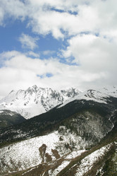 Similar image 8184328