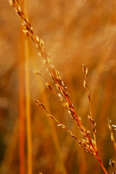 Similar image 8184408