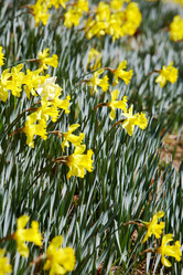 Similar image 8184424