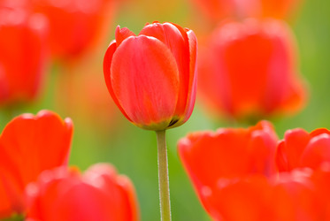 Similar image 8184443