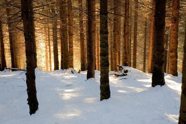 Similar image 8184444