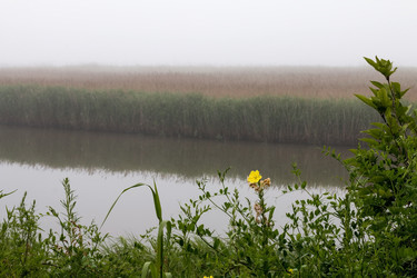 Similar image 8184522