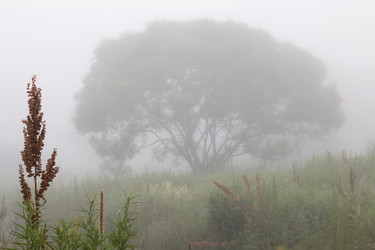 Similar image 8184523