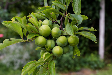 Similar image 8184525