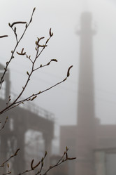 Similar image 8184549