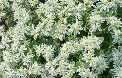 Similar image 8184755