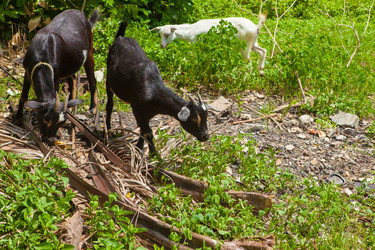 Similar image 8184758