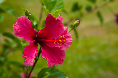 Similar image 8184760