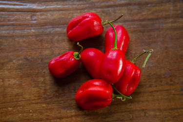 Similar image 8184762