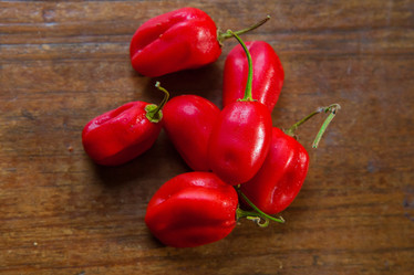 Similar image 8184763