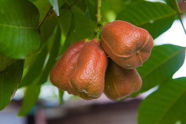 Similar image 8184767