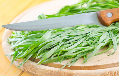 Similar image 8184804