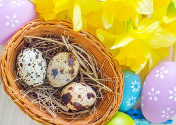 Similar image 8184986