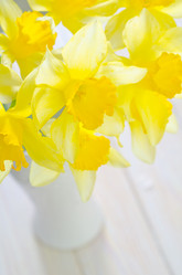 Similar image 8185211