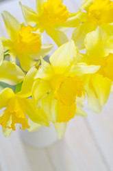 Similar image 8185216