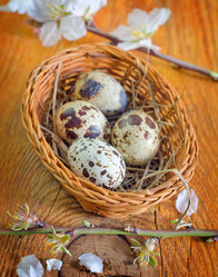 Similar image 8185223