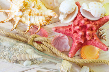 Similar image 8185415