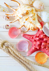 Similar image 8185433