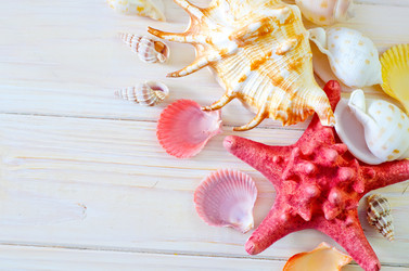 Similar image 8185435