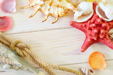 Similar image 8185440