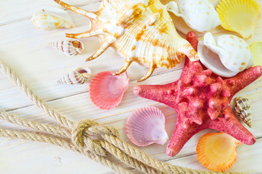 Similar image 8185443