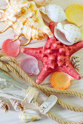 Similar image 8185445