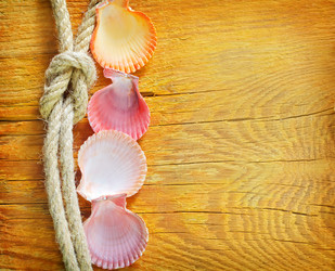 Similar image 8185469